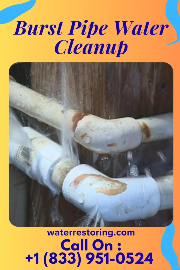 Burst Pipe Water Cleanup in New Berlin, WI