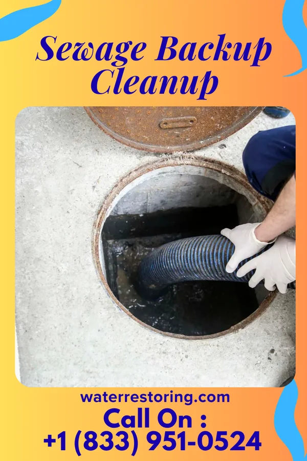 Sewage Backup Cleanup in New Berlin, WI