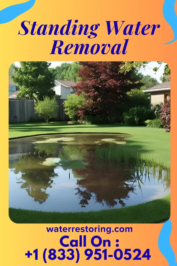 Standing Water Removal in New Berlin, WI